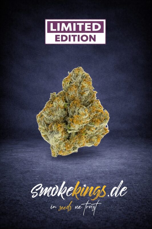 Produktbild zeigt Blüte eines Blue Zushi - Limited Edition Cannabis Samen