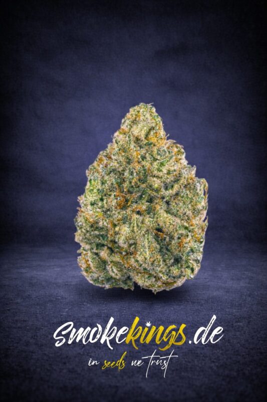 Produktbild zeigt Blüte eines AK-47 Cannabis Samen