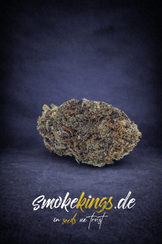 Produktbild zeigt Blüte eines Do-Si-Dos Cannabis Samen