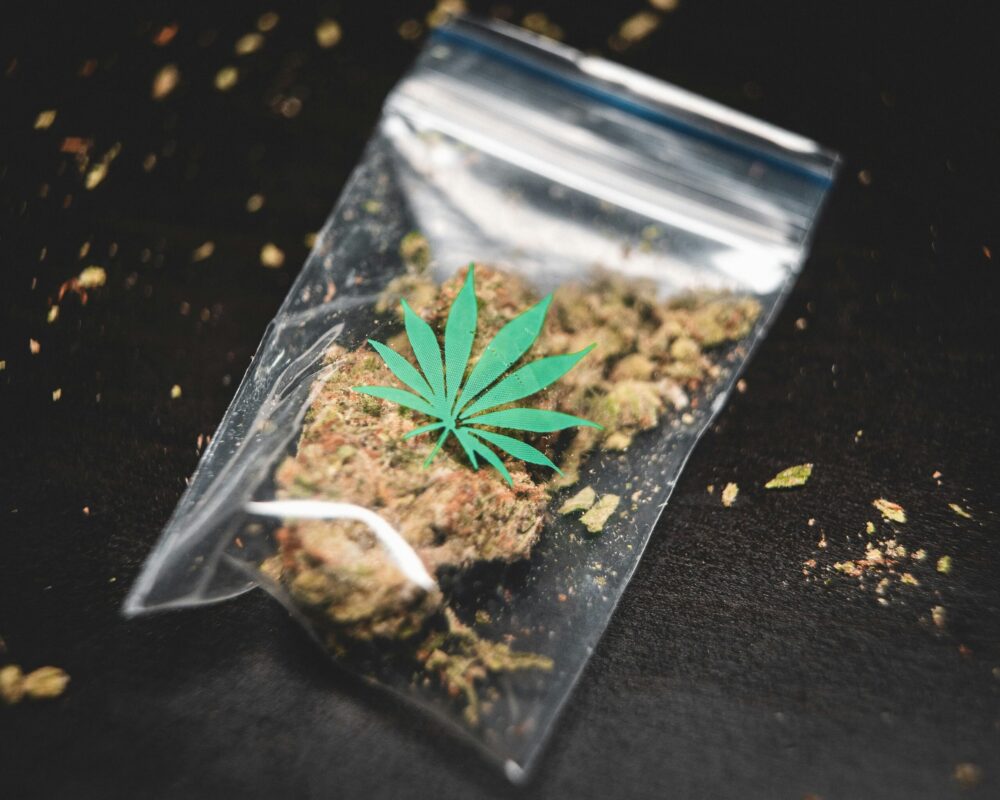 cannabis development