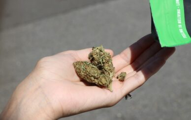 Cannabis Legalisation