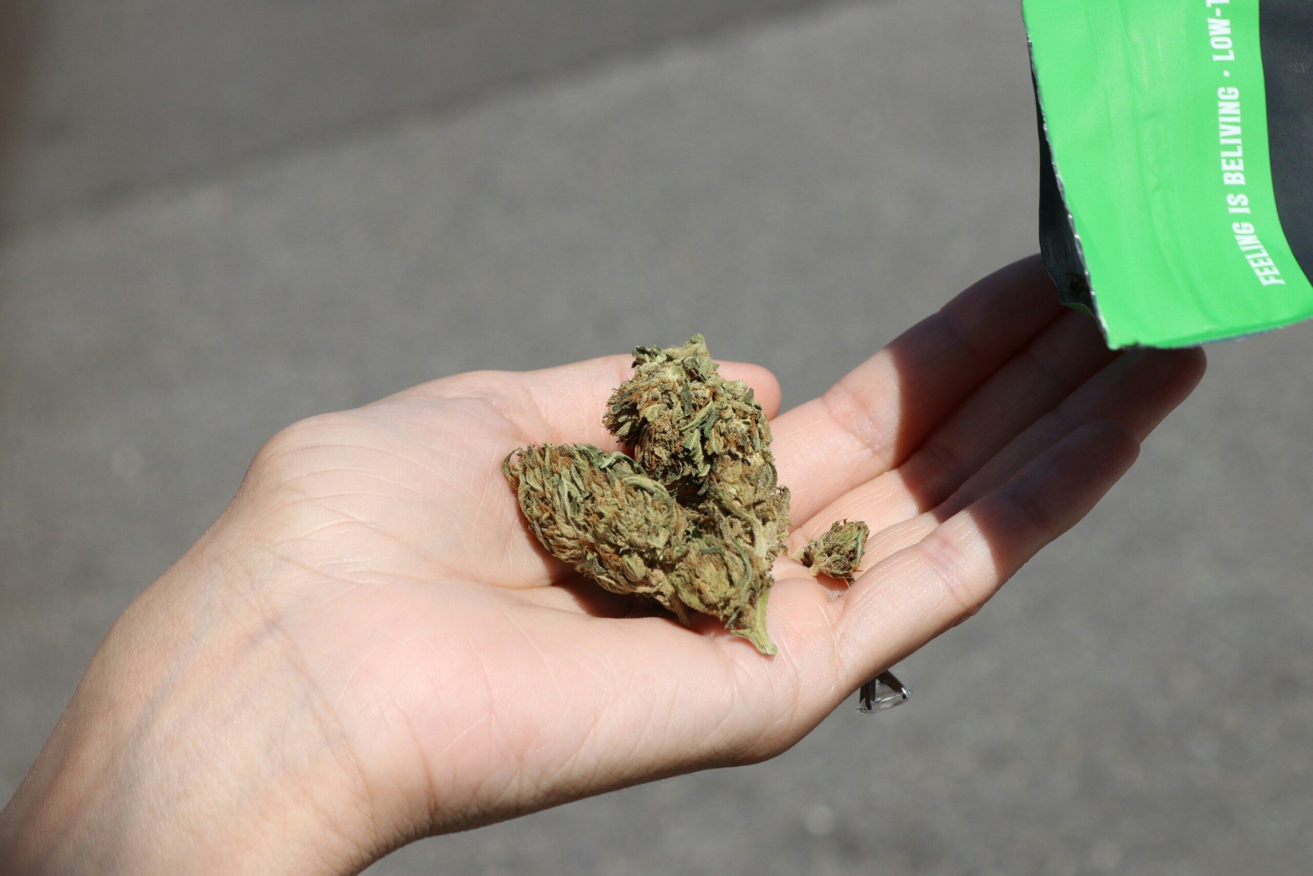 Cannabis Legalisation