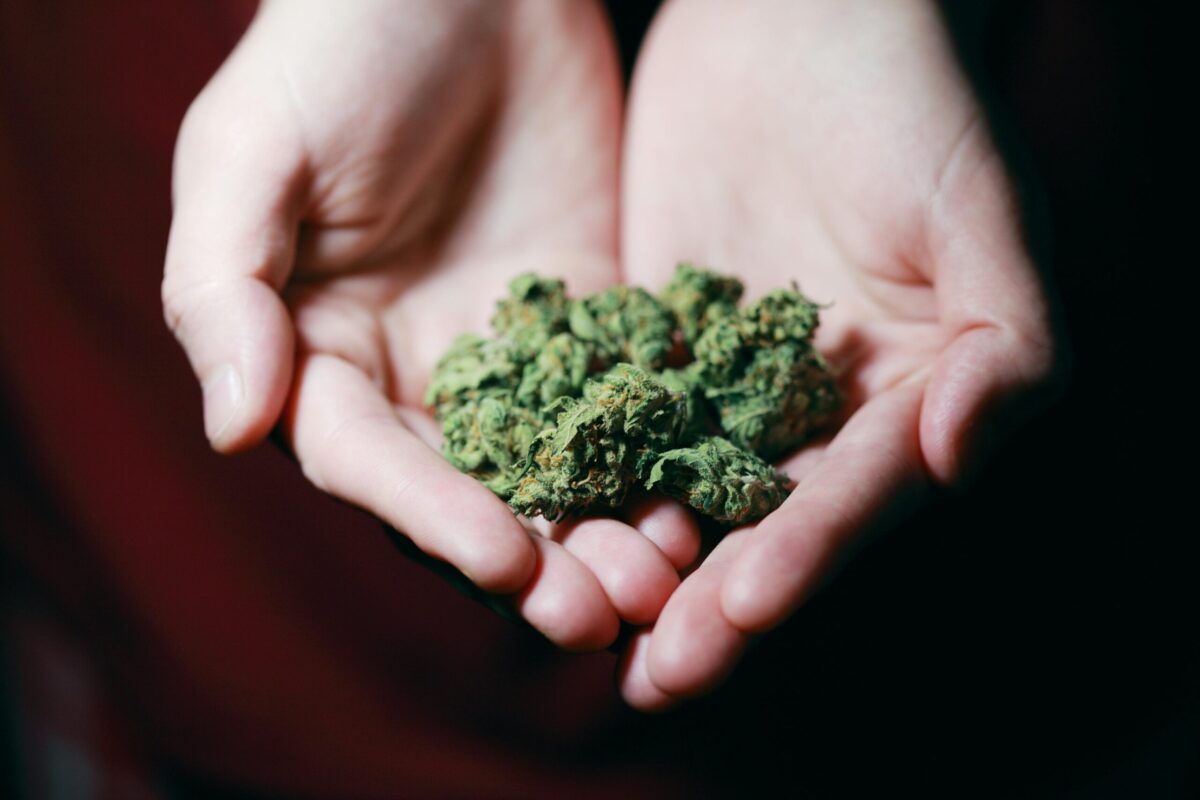 cannabis fertilisers